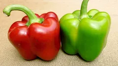 Červená nebo zelená: která odrůda papriky je zdravější a v čem se liší jejich nutriční hodnoty?