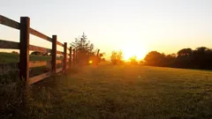 Příběh o tom, proč matka s dcerou odmítly nabídku 26 milionů dolarů za svůj pozemek