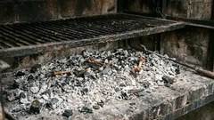 Než vyhodíte popel z grilu, zjistěte 3 užitečné způsoby, jak ho ještě využít
