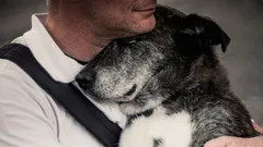 Vzpomene si pes na svého pána po mnoha letech odloučení?