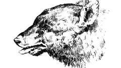 Dokážete najít člověka na tomto optickém obrázku?