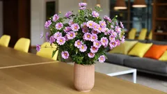 Vydrží ve váze 2 týdny: jaké květiny je nejlepší vybrat jako dárek pro rodinu a blízké