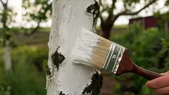 Čím vybělit stromy na jaře: vyzkoušejte tyto účinné alternativy vápna