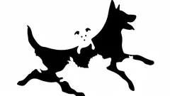 Kolik psů vidíte na obrázku? Rychlý test odhalí váš psychologický věk.