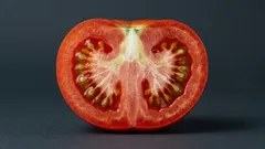 Bílá a tvrdá dužnina v rajčatech: proč vzniká a lze vypěstovat dokonalé plody bez ní?