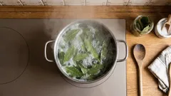 Vaření bobkových listů se solí doma: proč se doporučuje a k čemu je to dobré