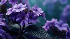 Ani levandule, ani jasmín: rostlina vonící po vanilce, o které téměř nikdo neví